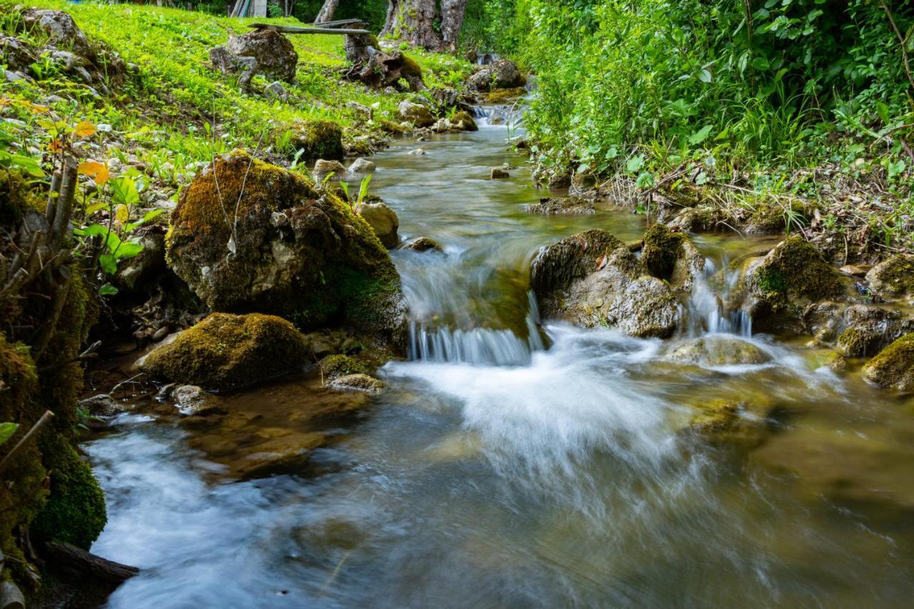 Kuca U Sumi - Forrest House Near Una National Park Bihać Εξωτερικό φωτογραφία
